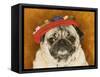 Pug Wearing Floral Hat-Leland Bobb?-Framed Stretched Canvas