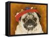 Pug Wearing Floral Hat-Leland Bobb?-Framed Stretched Canvas