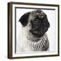 Pug Wearing Pearl Necklace-null-Framed Photographic Print