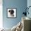 Pug Wearing Pearl Necklace-null-Framed Photographic Print displayed on a wall