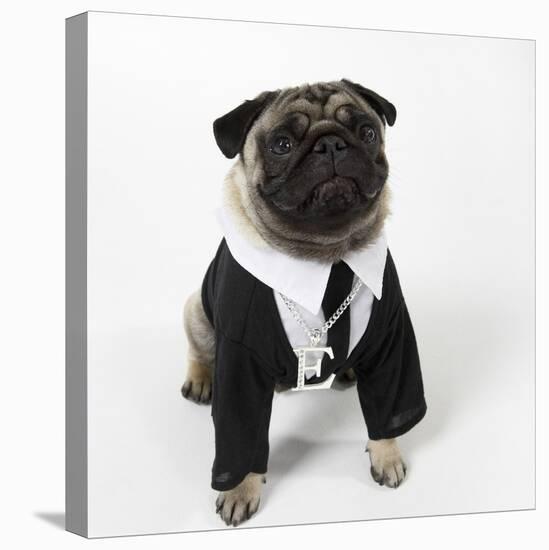 Pug Wearing Shirt, Tie and Necklace-null-Stretched Canvas