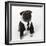 Pug Wearing Shirt, Tie and Necklace-null-Framed Photographic Print