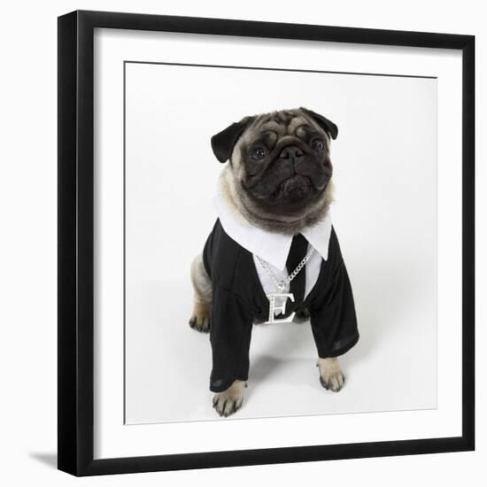 Pug Wearing Shirt, Tie and Necklace-null-Framed Photographic Print