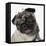 Pug Wearing Tiara-null-Framed Stretched Canvas