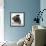 Pug Wearing Tiara-null-Framed Photographic Print displayed on a wall