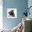 Pug Wearing Tiara-null-Framed Photographic Print displayed on a wall