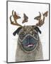 Pug With a Big Rack-Melissa Symons-Mounted Art Print