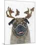 Pug With a Big Rack-Melissa Symons-Mounted Art Print