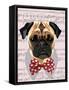 Pug with Red and White Spotty Bow Tie-Fab Funky-Framed Stretched Canvas