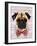 Pug with Red and White Spotty Bow Tie-Fab Funky-Framed Art Print