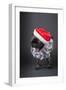 Pug yawning in a Santa hat and beard.-Janet Horton-Framed Photographic Print