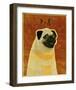 Pug-John Golden-Framed Art Print