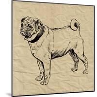 Pug-Sabine Berg-Mounted Art Print