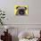 Pug-Dean Russo-Giclee Print displayed on a wall