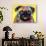 Pug-Dean Russo-Giclee Print displayed on a wall