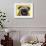 Pug-Dean Russo-Framed Premium Giclee Print displayed on a wall