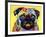 Pug-Dean Russo-Framed Premium Giclee Print