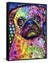 Pug-Dean Russo-Framed Stretched Canvas