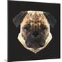 Pug-Lora Kroll-Mounted Art Print