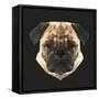 Pug-Lora Kroll-Framed Stretched Canvas