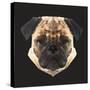 Pug-Lora Kroll-Stretched Canvas