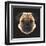 Pug-Lora Kroll-Framed Art Print