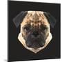 Pug-Lora Kroll-Mounted Art Print