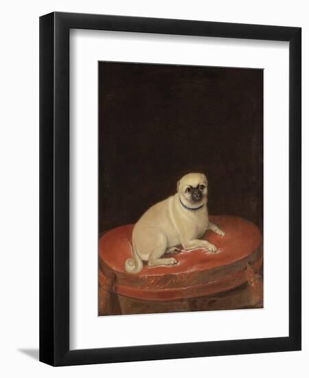 Pug-null-Framed Premium Giclee Print