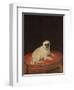 Pug-null-Framed Premium Giclee Print