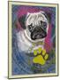 Pug-Cathy Cute-Mounted Giclee Print