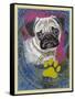 Pug-Cathy Cute-Framed Stretched Canvas