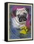 Pug-Cathy Cute-Framed Stretched Canvas