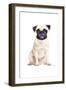 Pug-Amanda Greenwood-Framed Art Print