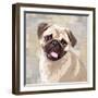 Pug-Keri Rodgers-Framed Art Print