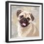 Pug-Keri Rodgers-Framed Art Print