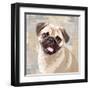 Pug-Keri Rodgers-Framed Art Print