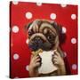 Pugalicious-Lucia Heffernan-Stretched Canvas