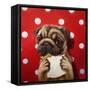 Pugalicious-Lucia Heffernan-Framed Stretched Canvas