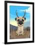 Pugalope-Brian Rubenacker-Framed Art Print