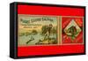 Puget Sound Salmon Can Label-null-Framed Stretched Canvas