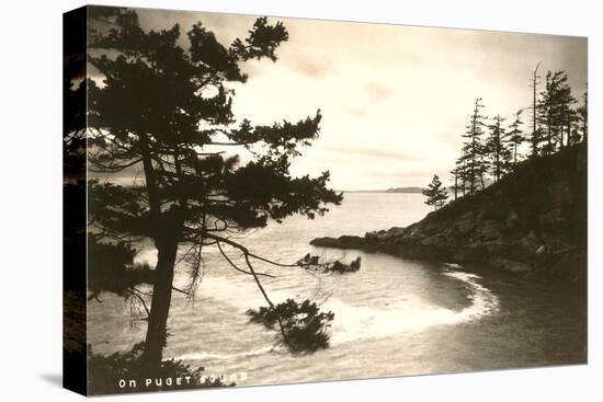 Puget Sound, Washington-null-Stretched Canvas