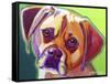 Puggle - Cooper-Dawgart-Framed Stretched Canvas