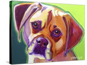 Puggle - Cooper-Dawgart-Stretched Canvas