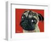 Pugly-Melissa Symons-Framed Art Print