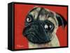 Pugly-Melissa Symons-Framed Stretched Canvas