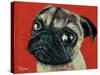 Pugly-Melissa Symons-Stretched Canvas