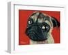 Pugly-Melissa Symons-Framed Art Print