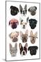 Pugs in Glasses-Hanna Melin-Mounted Art Print