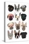 Pugs in Glasses-Hanna Melin-Stretched Canvas