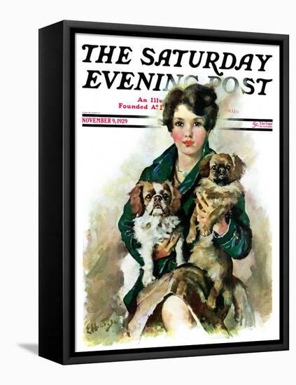 "Pugs in Lap," Saturday Evening Post Cover, November 9, 1929-Ellen Pyle-Framed Stretched Canvas